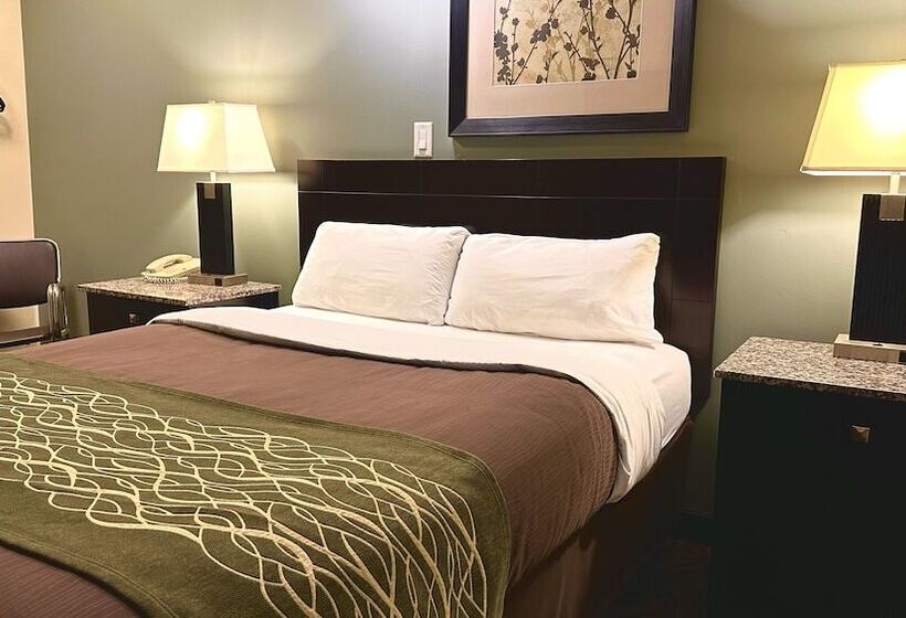 汽车旅馆 Lacombe Motor Inn