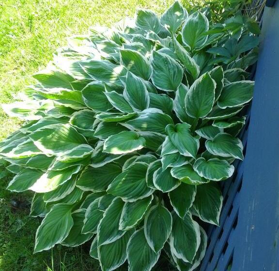 Motel Montgolfière Jp