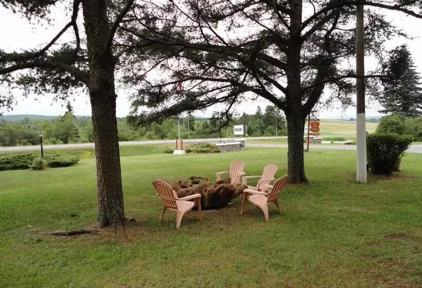 Pinecone Motel