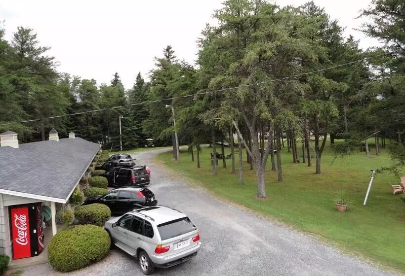 Pinecone Motel