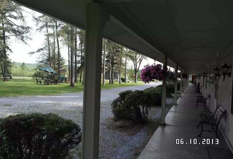 Pinecone Motel