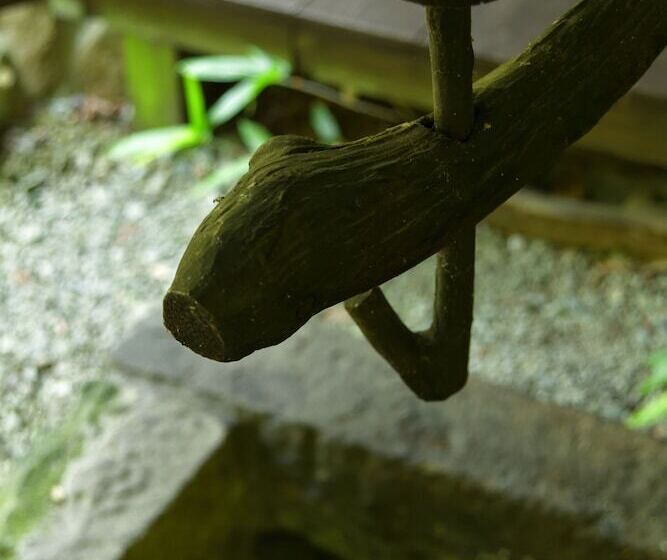 Ryokan Oyado Hanabou