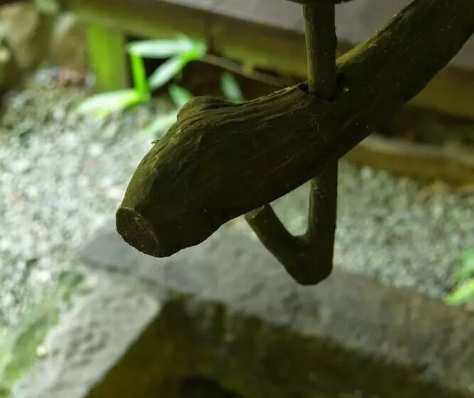Ryokan Oyado Hanabou