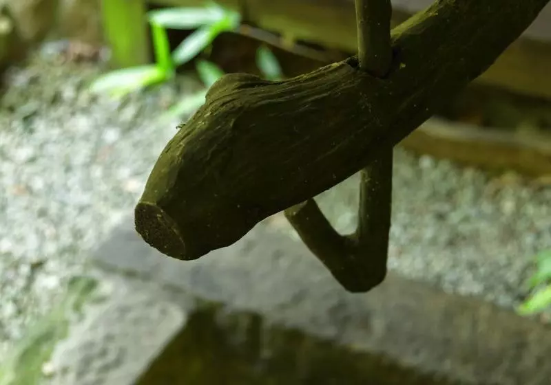 Ryokan Oyado Hanabou