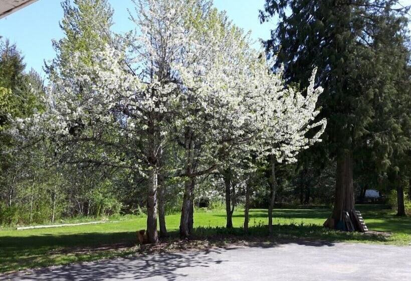 The Hitching Post Motel