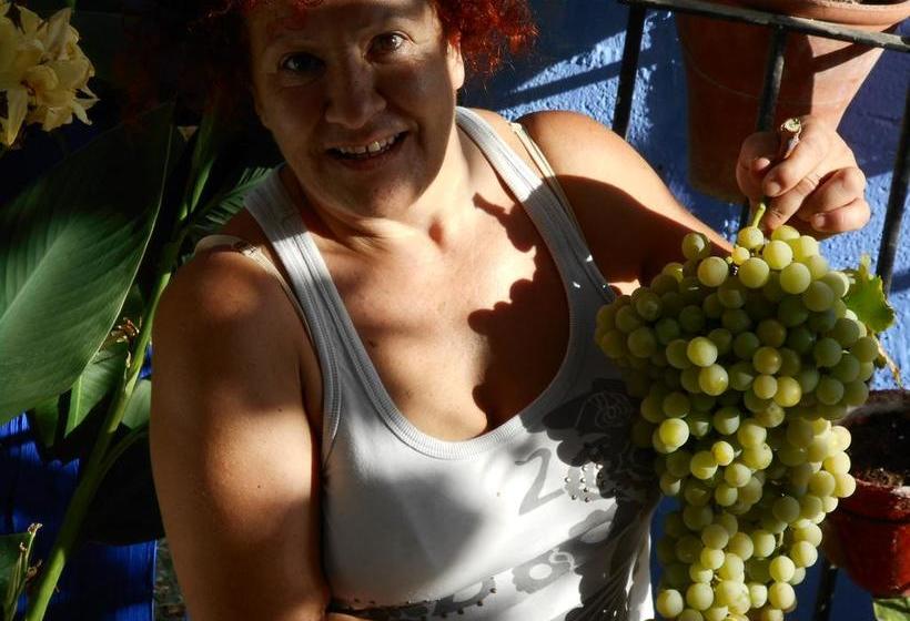 ベッドアンドブレックファースト La Posada Amena