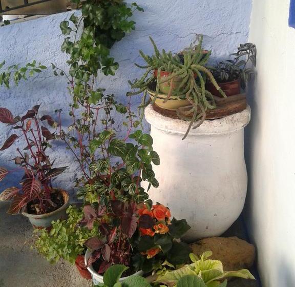 ベッドアンドブレックファースト La Posada Amena