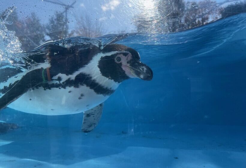 Richmond Hotel Akita Ekimae