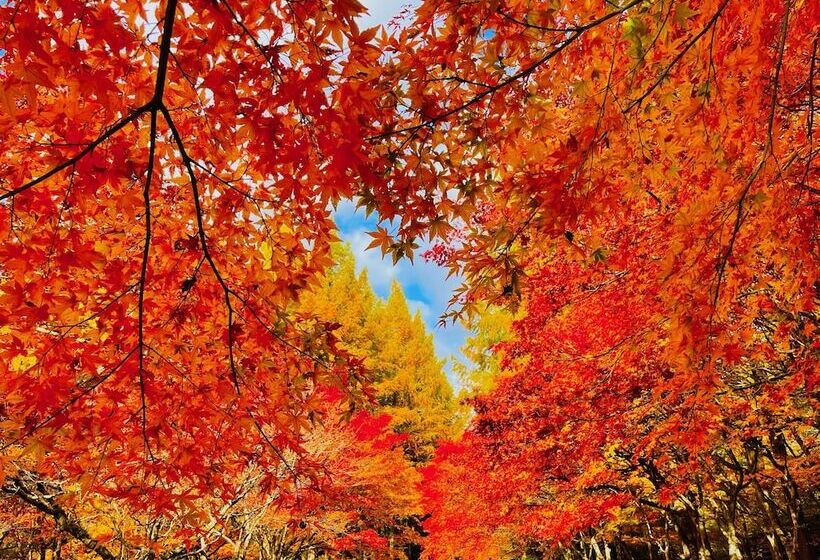 Richmond Hotel Akita Ekimae