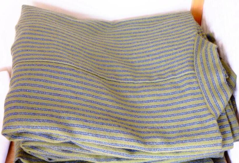 日式旅馆 Ichifujiso