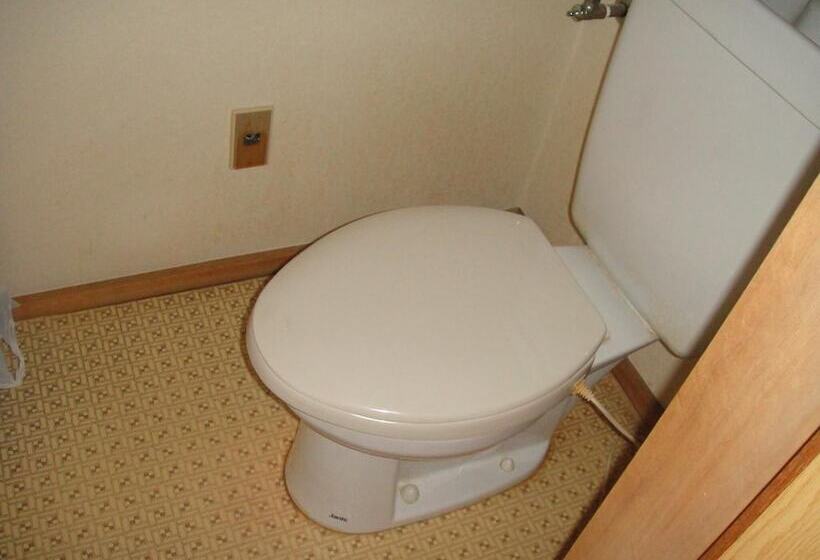 ريوكان Matsuichi