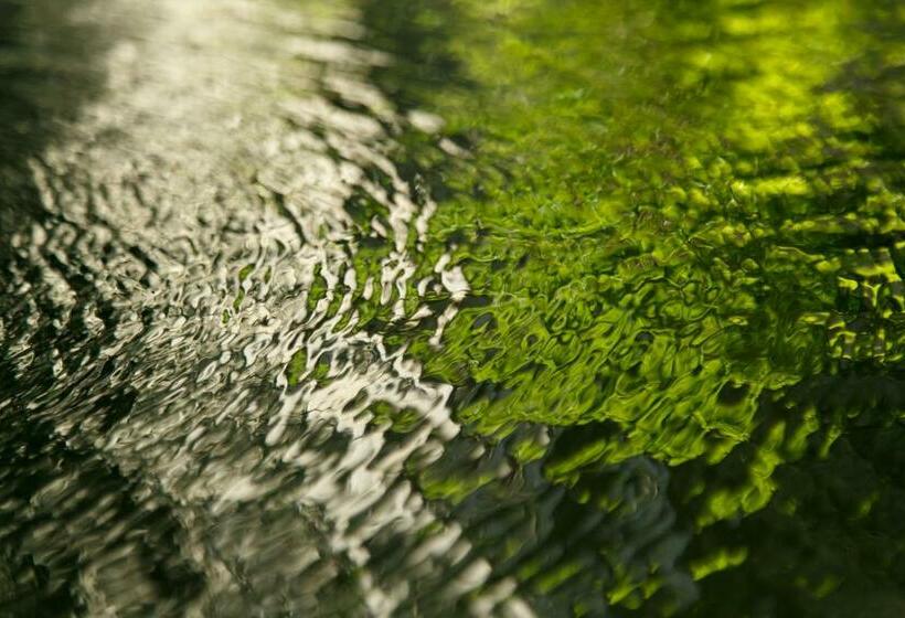 ריוקאן Shaganosato Yumeya