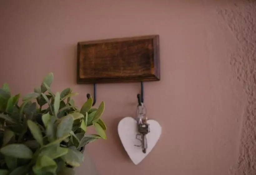 هاستل B&b Inés