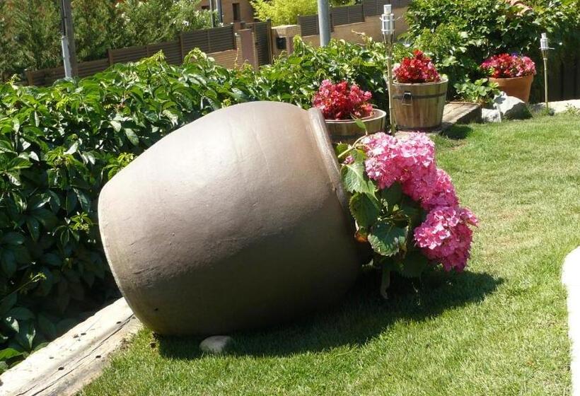 هاستل B&b Inés