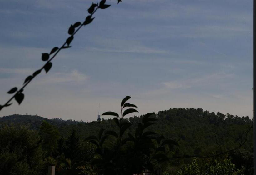 هاستل B&b Inés