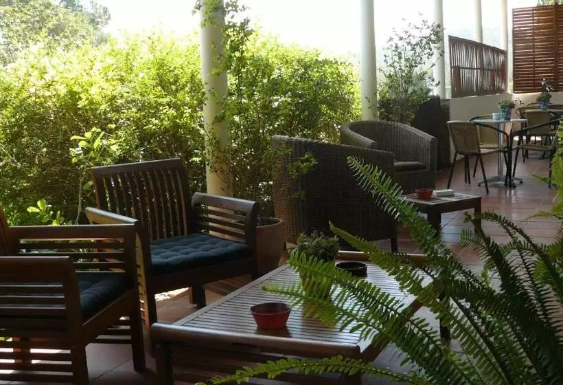 هاستل B&b Inés