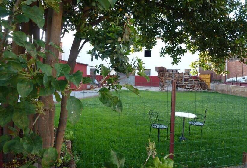 호스텔 Hostal A La Sombra Del Laurel