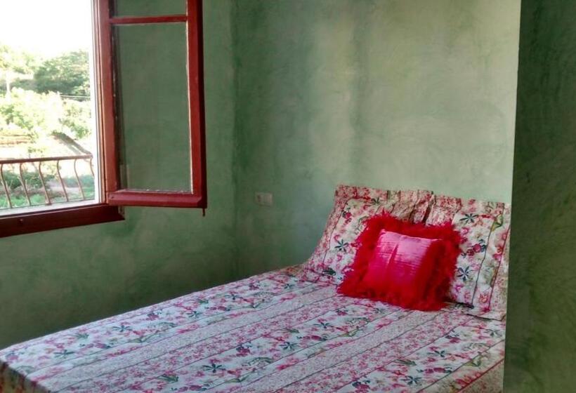 호스텔 Hostal A La Sombra Del Laurel