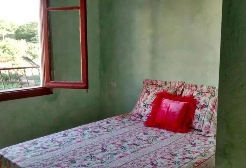 هاستل Hostal A La Sombra Del Laurel