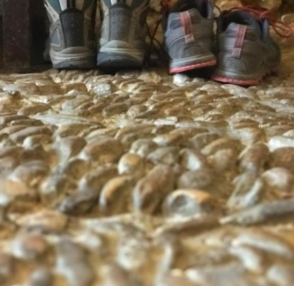 Общежитие Casa Magica Villatuerta