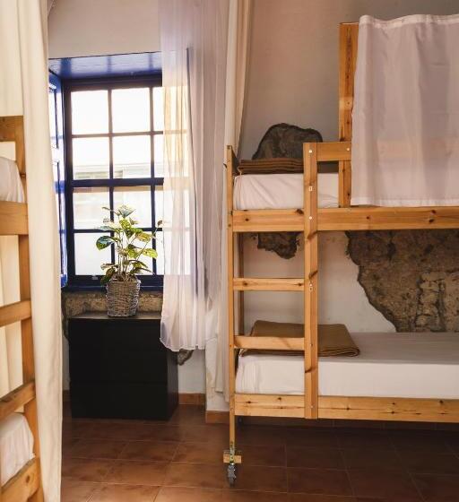 Ashavana Nest Hostel
