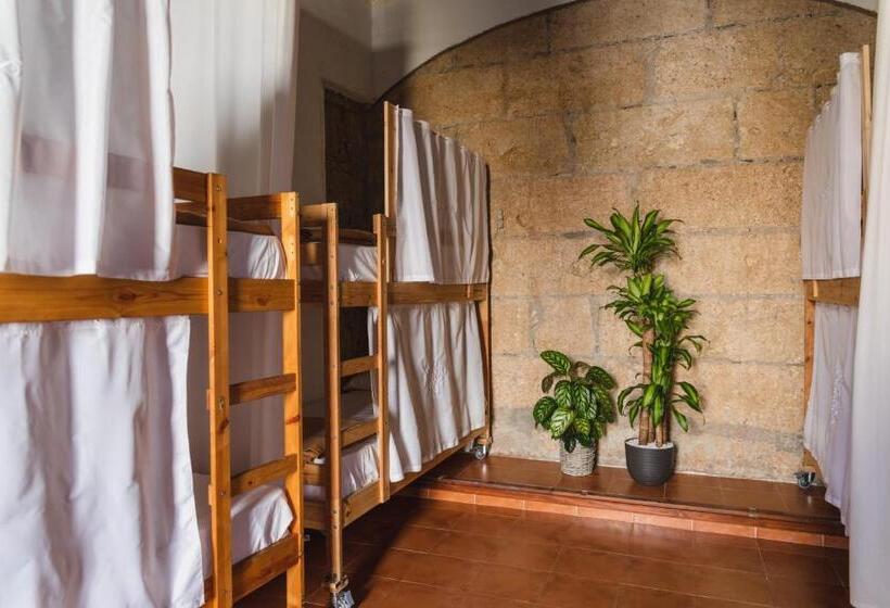 Ashavana Nest Hostel