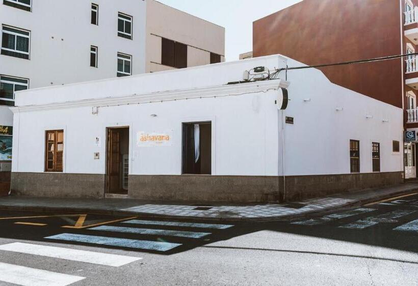 Ashavana Nest Hostel