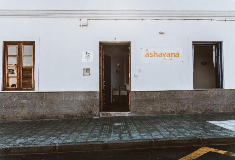 Ashavana Nest Hostel