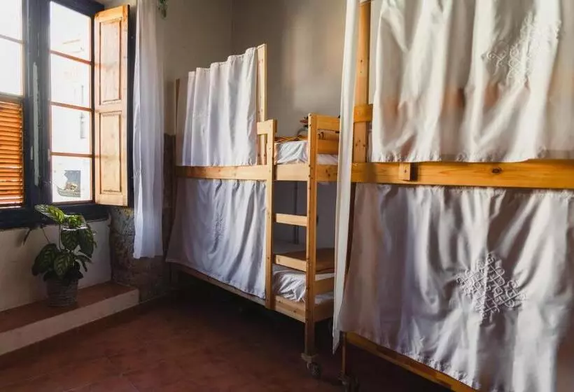 Ashavana Nest Hostel