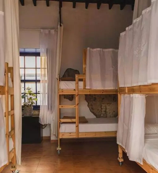 Ashavana Nest Hostel
