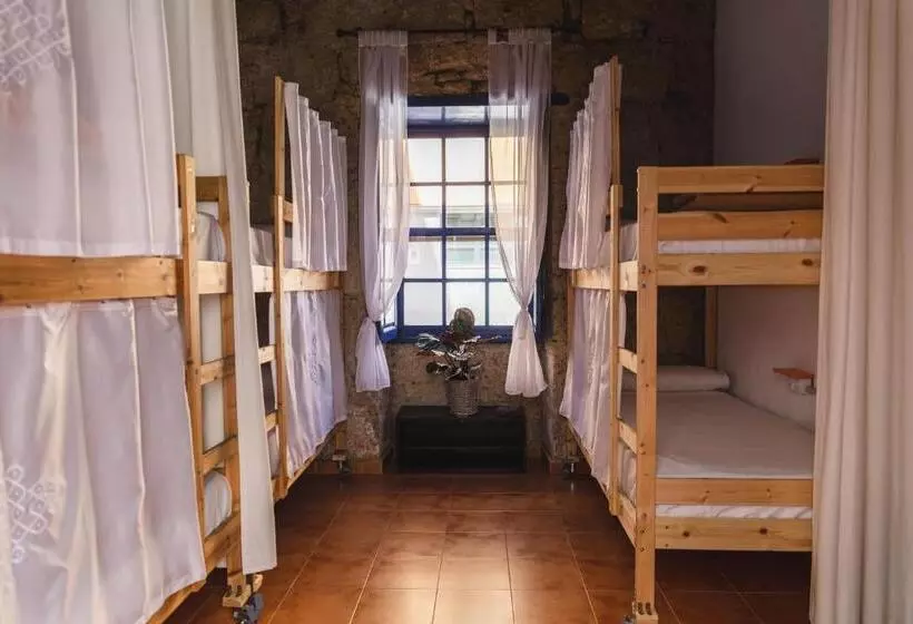 Ashavana Nest Hostel