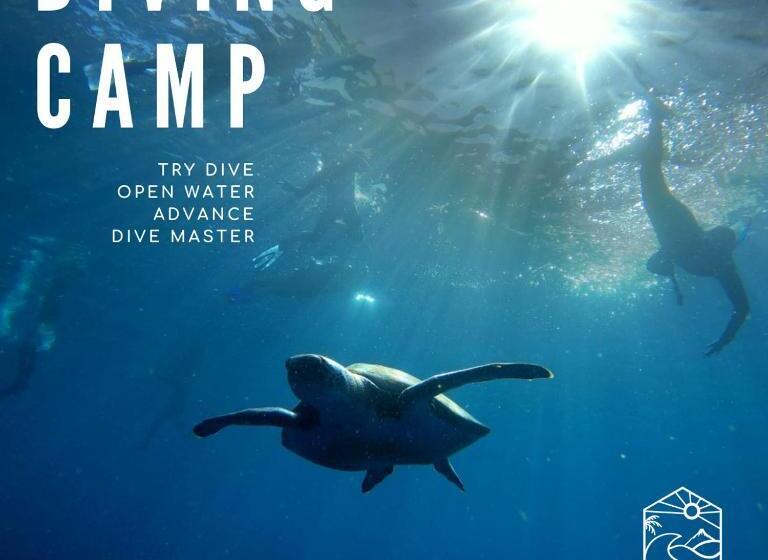 تختخواب و صبحانه Endless Summer House