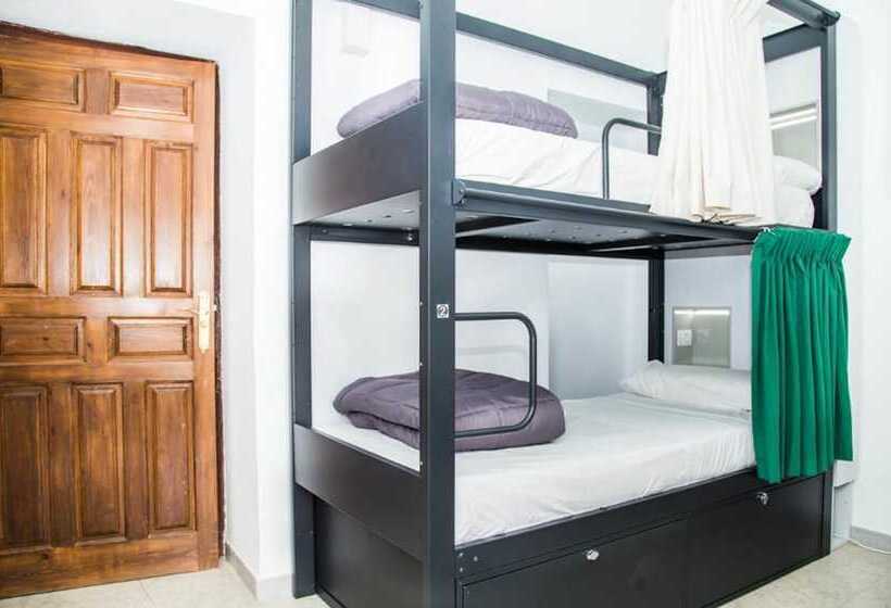 هاستل Onefam Catedral