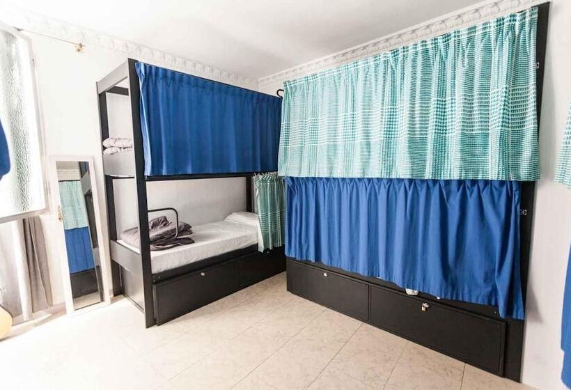 هاستل Onefam Catedral