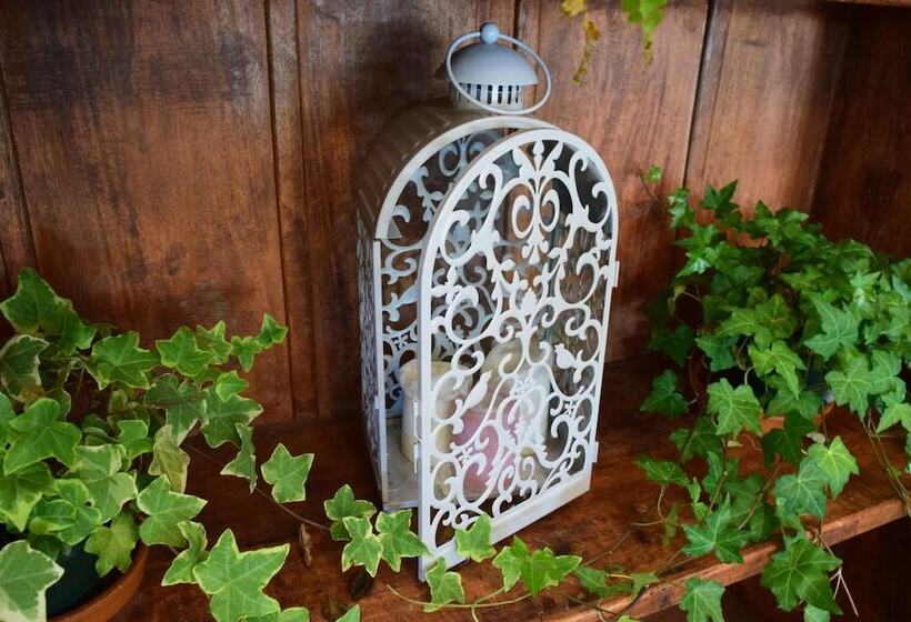 فندق Hospederia Palacio De Casafuerte