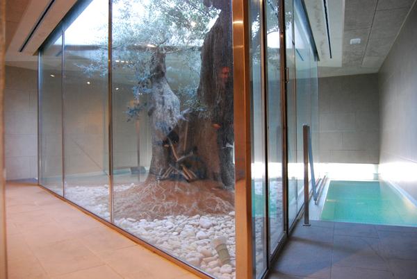 בית מלון כפרי Lo Molí De Rosquilles Adults Only