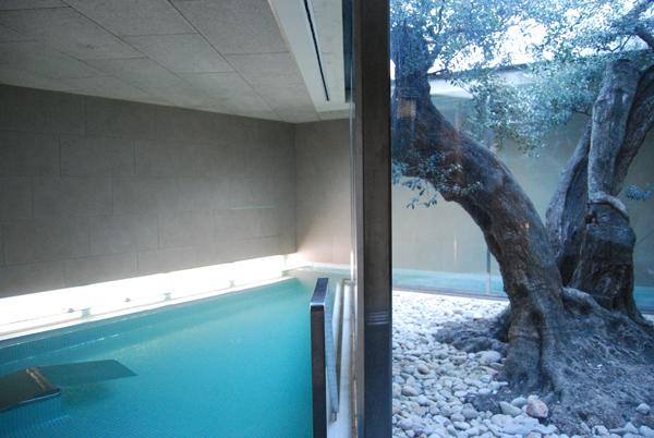 בית מלון כפרי Lo Molí De Rosquilles Adults Only