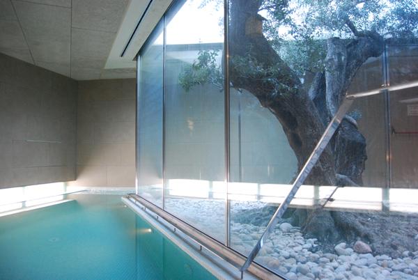 בית מלון כפרי Lo Molí De Rosquilles Adults Only