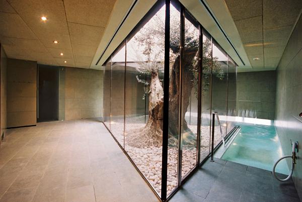 בית מלון כפרי Lo Molí De Rosquilles Adults Only