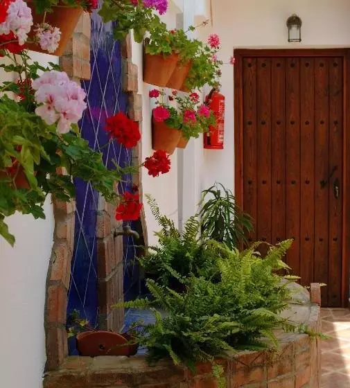 ホテル Posada Casas Viejas