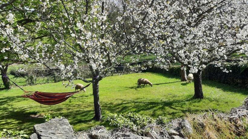 Hotell Rectoral De Anllo