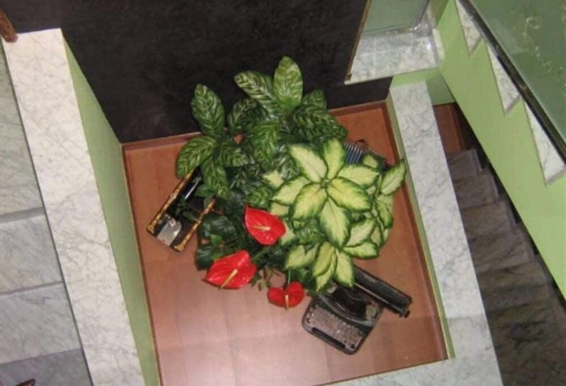 فندق Rural Casa Migio