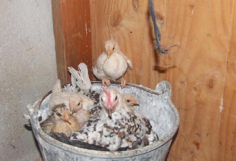 אתר נופש Cabañas Cortijo El Helao