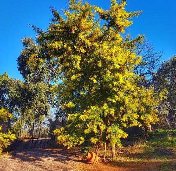 אתר נופש Finca La Viriñuela