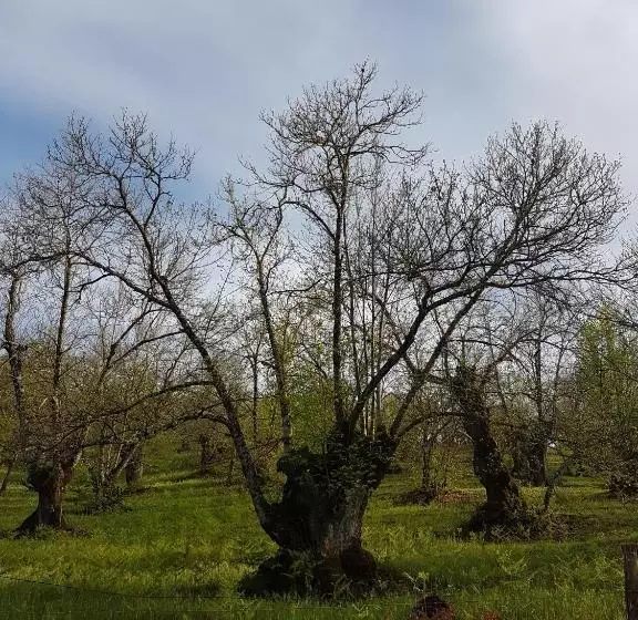 Lomakeskus Finca La Viriñuela