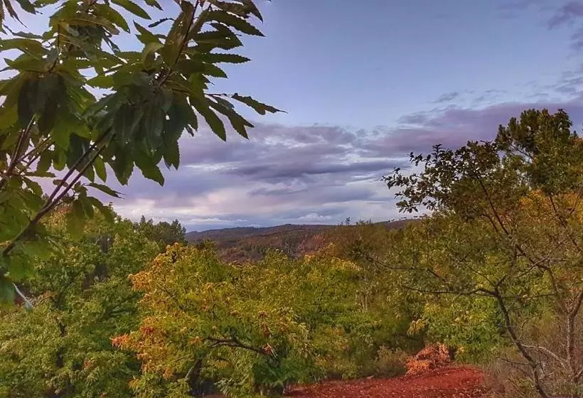 Lomakeskus Finca La Viriñuela