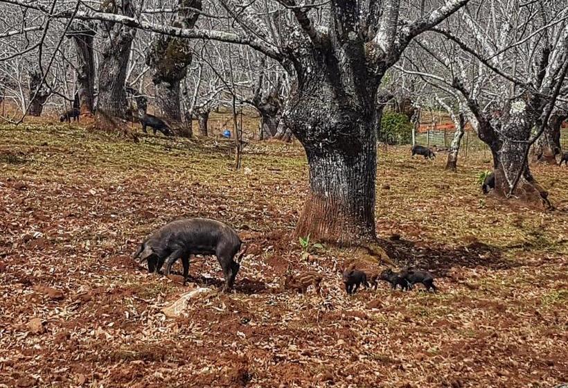 אתר נופש Finca La Viriñuela