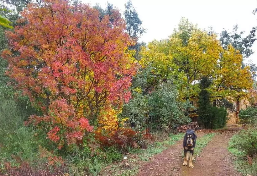 Lomakeskus Finca La Viriñuela