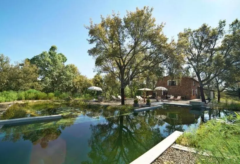 Valle Del Arroyo Casas Rurales  Bed & Breakfast