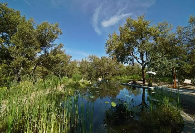 Valle Del Arroyo Casas Rurales  Bed & Breakfast